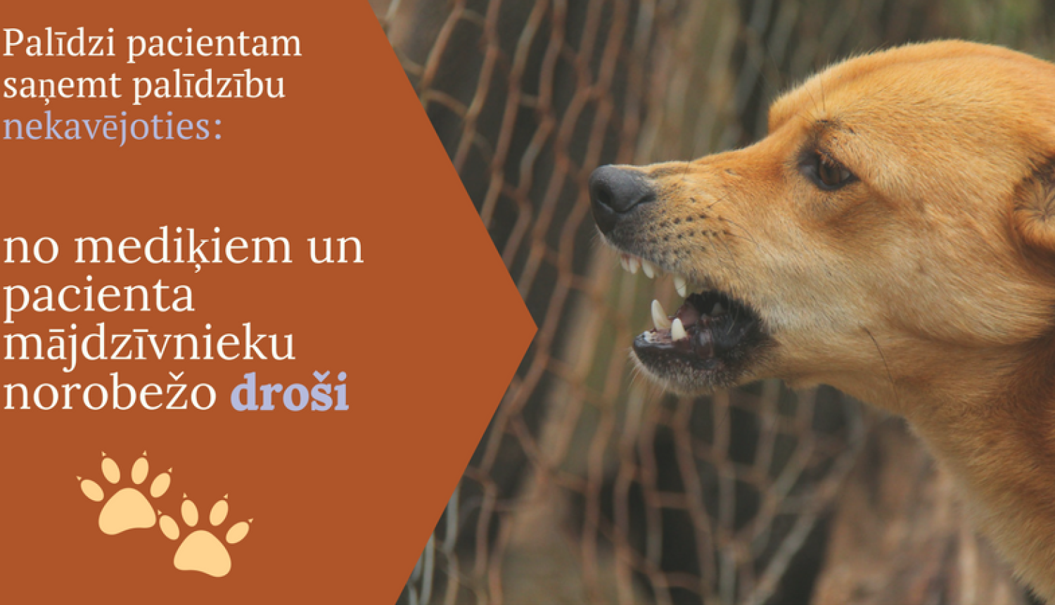 NMPD mediķi: Gādā, lai suns nekļūst par šķērsli palīdzības saņemšanai izsaukumā