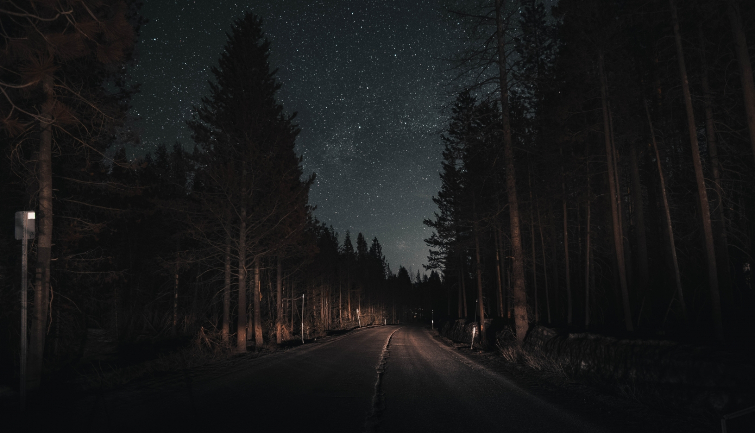 nakts, celš un mežs